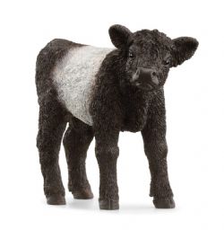 SCHLEICH - VEAU GALLOWAY #13969